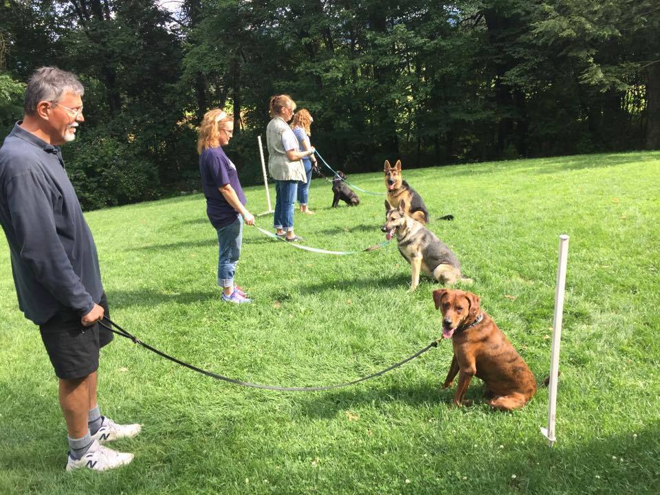John P. Jones Canine Training | Group Training Class